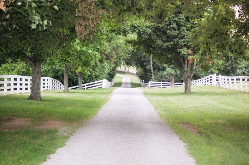 Site Conditions and Accessibility